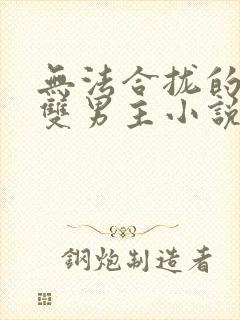 无法合拢的总裁双男主小说