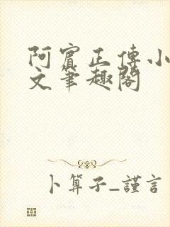 阿宾正传小说全文笔趣阁