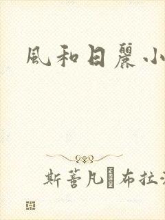 风和日丽小说