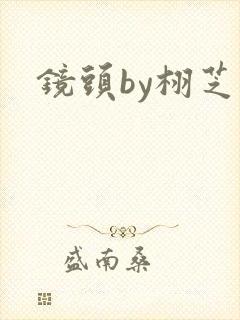镜头by栩芝