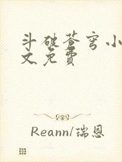 斗破苍穹小说全文免费封面