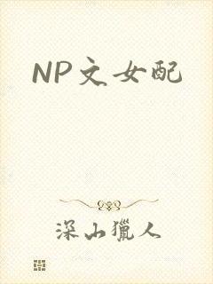 NP文女配封面