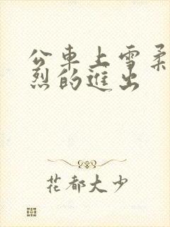 公车上雪柔被猛烈的进出