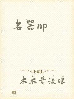 名器np