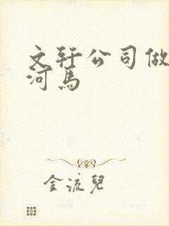 文轩公司做扩张河马封面