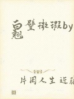 白璧微瑕by连翘