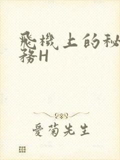 飞机上的秘密服务H