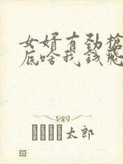 女婿有劲枪枪到底啥我钱飞了封面