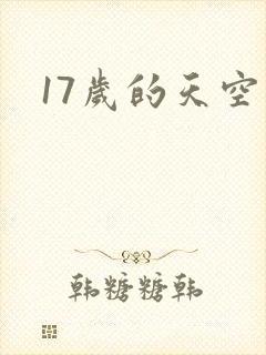 17岁的天空封面