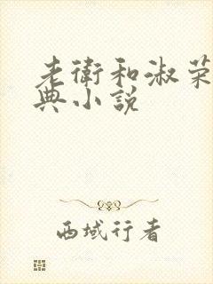 老卫和淑荣的经典小说