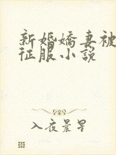 新婚娇妻被巨茎征服小说封面