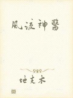 风流神医封面
