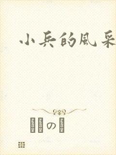 小兵的风采封面