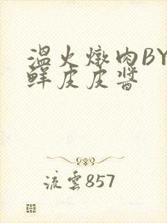 温火炖肉BY海鲜皮皮酱