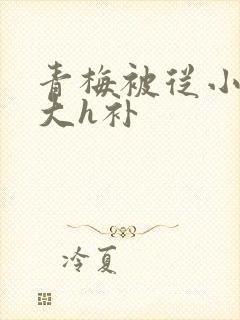 青梅被从小摸到大h补