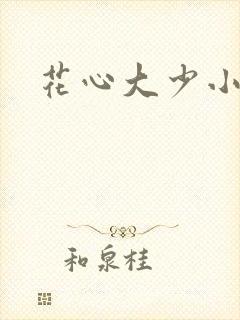 花心大少小说