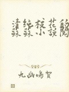 清纯校花的日常苏苏小说阅读全文