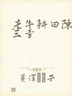 老牛耕田陈雪第三章