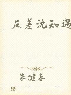 反差沈知遇晏应封面