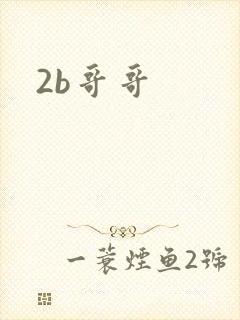 2b哥哥
