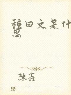 种田文是什么意思