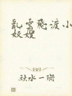 乱云飞渡小说之姣嫂