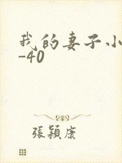 我的妻子小谨1-40封面