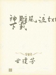 神雕风流txt下载