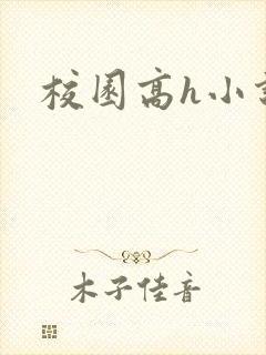 校园高h小说
