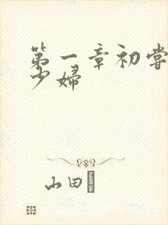 第一章初尝极品少妇