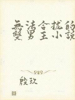 无法合拢的总裁双男主小说