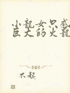 小龙女只感觉那巨大的火龙枪