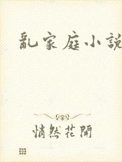 乱家庭小说封面