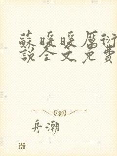 苏暖暖厉衍琛小说全文免费阅读