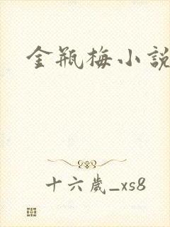 金瓶梅小说在线