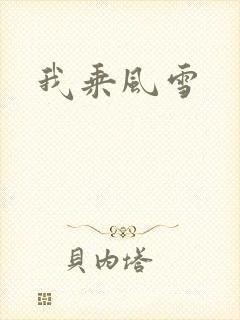 我乘风雪封面