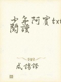 少年阿宾txt阅读