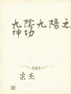 九阴九阳之阴阳神功封面