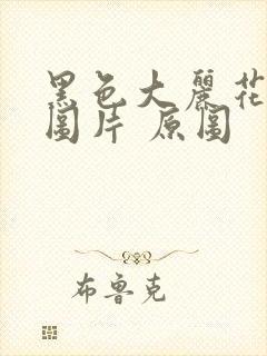 黑色大丽花真实图片 原图