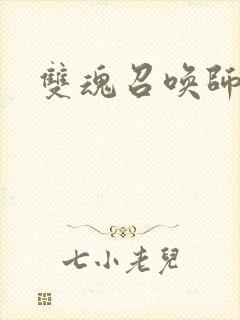 双魂召唤师封面