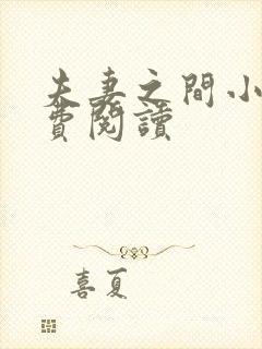 夫妻之间小说免费阅读