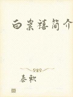 白崇禧简介封面