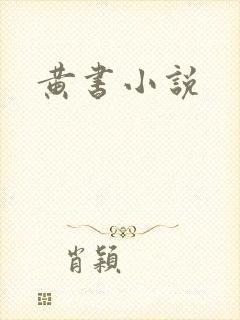 黄书小说