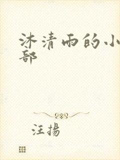 沐清雨的小说全部