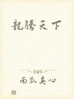 龙腾天下
