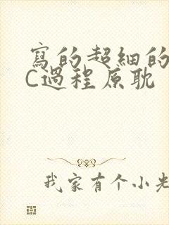 写的超细的多肉C过程原耽封面
