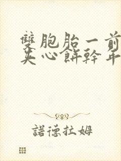 双胞胎一前一后夹心饼干年下封面