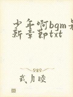 少年啊bgm最新章节txt