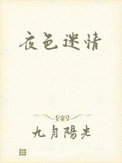 夜色迷情封面