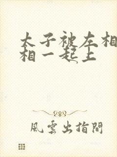 太子被左相和右相一起上